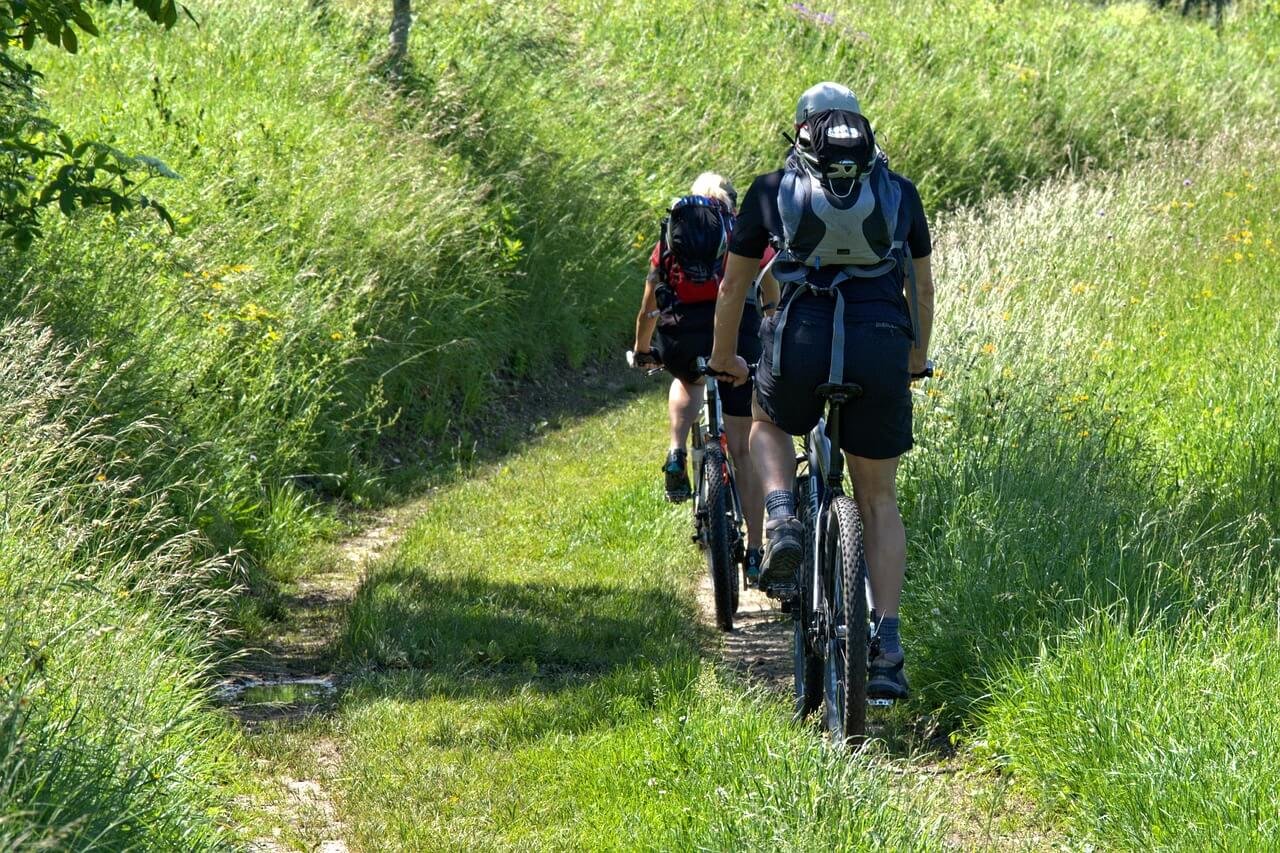 Cycling on Jungle