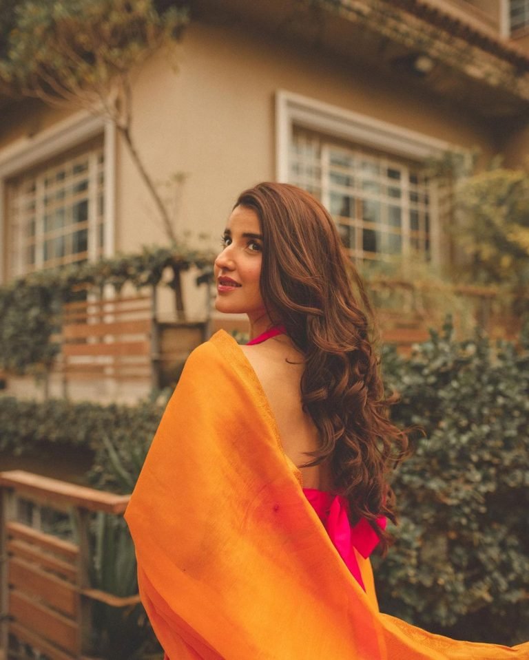 Hareem Farooq looks like a vision in a beautiful saree