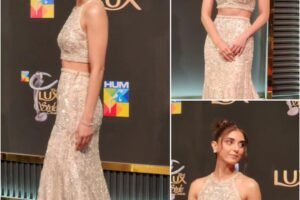 Maya Ali Dazzles at Lux Style Awards in Stunning Dress